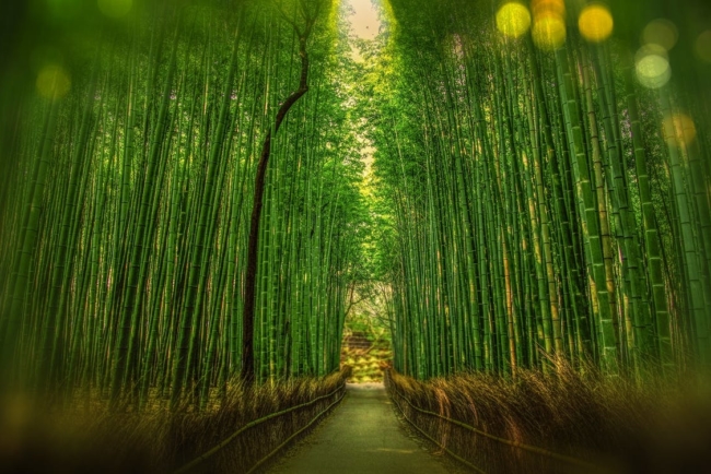 grow-your-business-tenfold