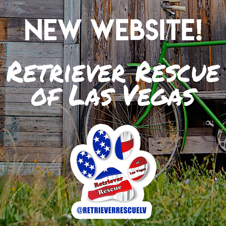 Retriever Rescue of Las Vegas