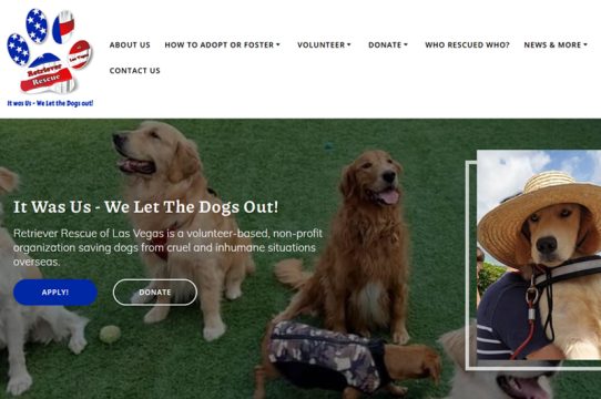 Shoreline Digital Marketing Website Design & SEO website design and seo