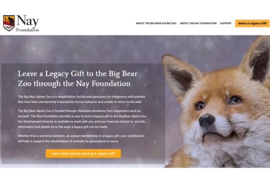 Shoreline Digital Marketing Website Design & SEO website design and seo